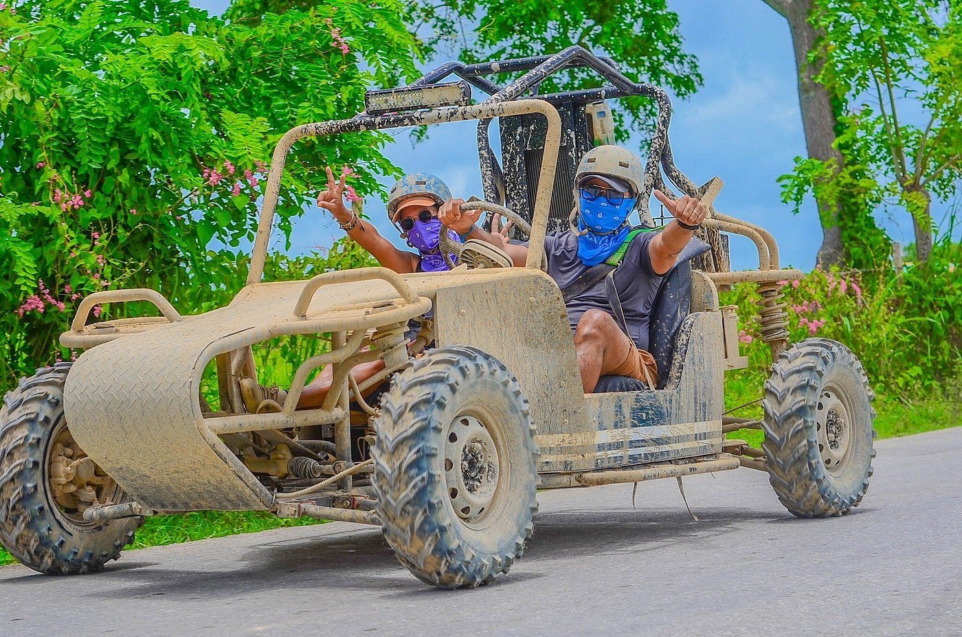 Buggies