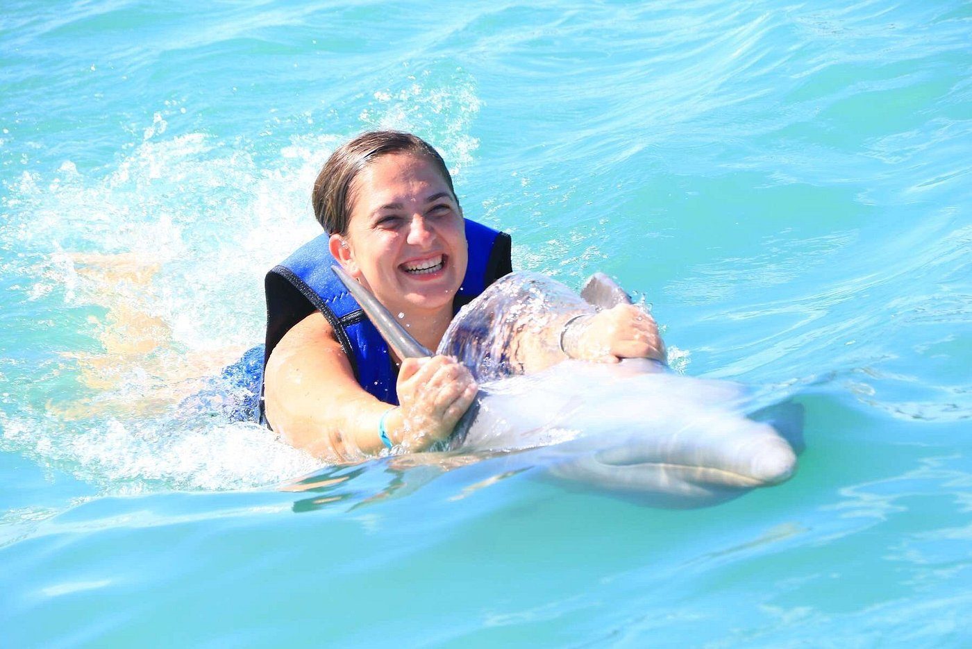 Swim with Dolphins