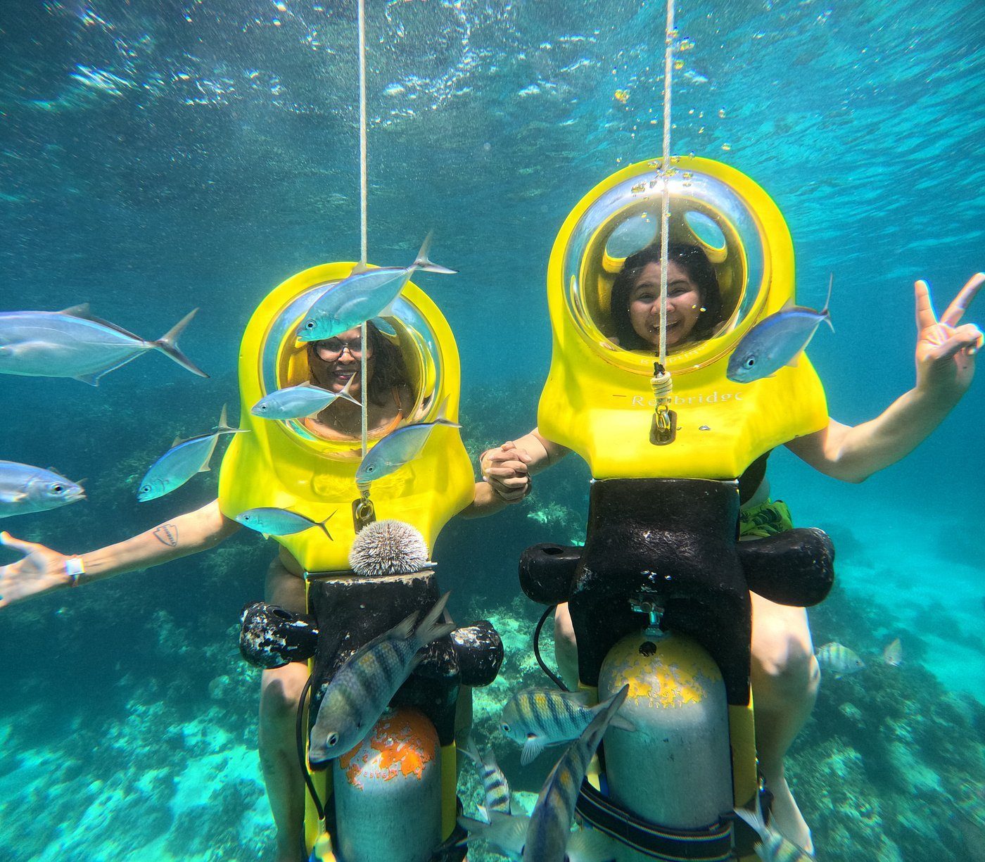 Scuba Doo