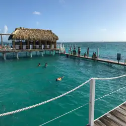 Top Thrilling Excursions in Punta Cana