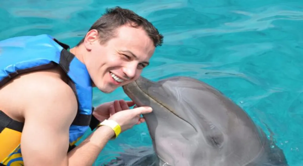 Swimming with Dolphins